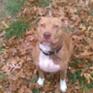 Meet your Posher, Steve